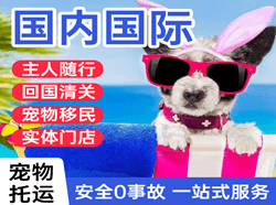 长治王村国际宠物托运 【国